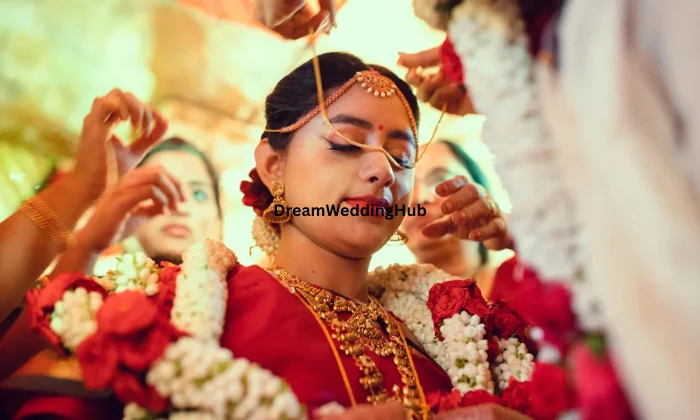 Vandana Creations Nx